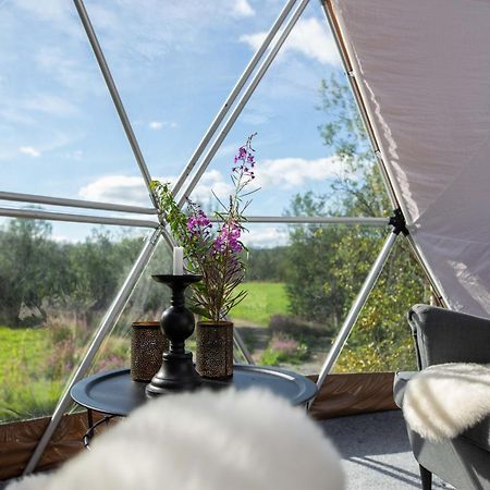 Aera - Glass Cabins Tromsø Zewnętrze zdjęcie